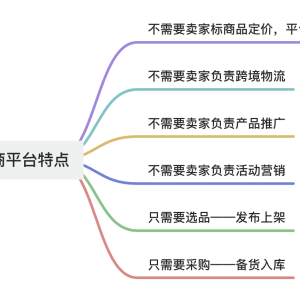 ​TEMU新手指南