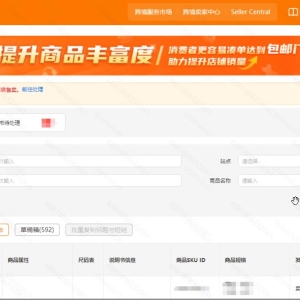 ​Temu半托管编辑流程参考指引