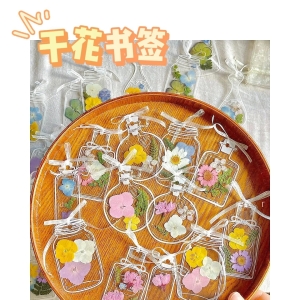 ​成本几毛钱，日销7700+单，卖DIY干花书签赚疯了！